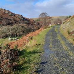 Elan Valley Trail