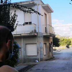 I wonder where we can take Ringo for his bark removing like this little guy?