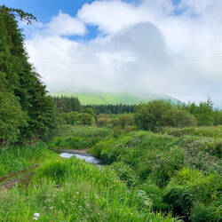 My Sis wrote that looking at the color green for 20 minutes a day is very relaxing — Annascaul.