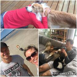 Goodbye Tiki 😢