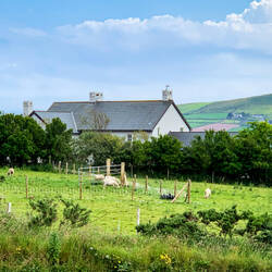 This farmscape is part of the view from our room — Tower View B&B ... Dingle, Ireland.