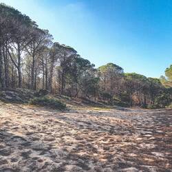 Sorso, sur le chemin de santo Jccu