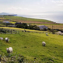 The Irish countryside from the Famine Cottages — Dingle Peninsula, Ireland.