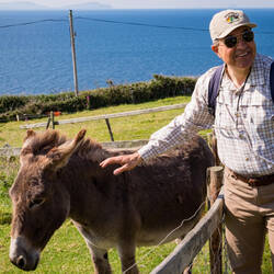 At the Famine Cottages — Dingle Peninsula, Ireland.