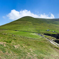 Looking back before we climb the fence on the left — Dunmore Head ... Dingle Peninsula, Ireland.