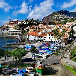 Camara de Lobos!