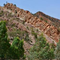 Brachina Gorge - einfach faszinierend