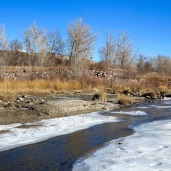 Winter Stroll on the Cottonwood Creek Trail — Colorado Springs, CO.