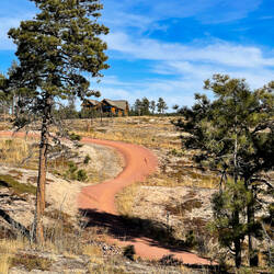 The trail snakes through the burn scar — Black Forest Regional Park, CO.