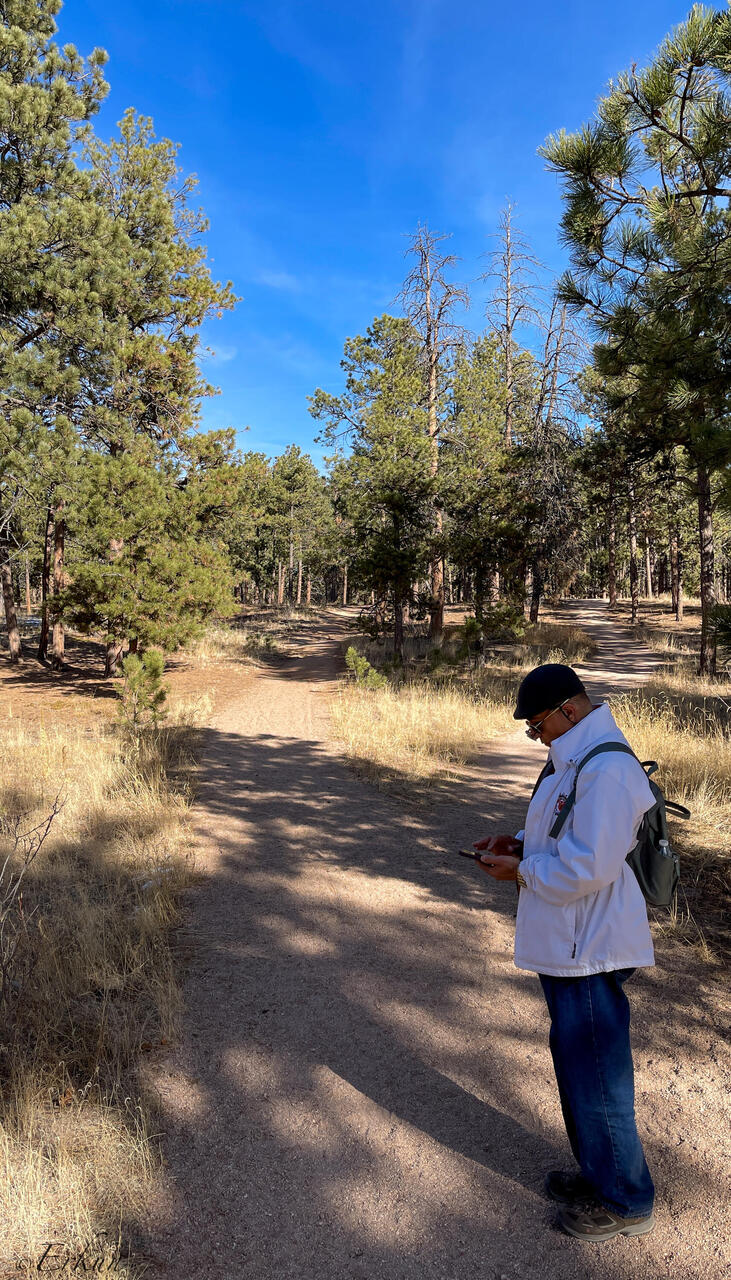 Left or right? Checking the trail map — Black Forest Regional Park, CO.
