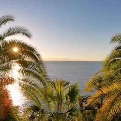 A Dezember morning on Madeira - far away from winter 😀🌞😄!