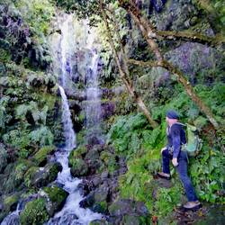 Like in an Asian rainforest!