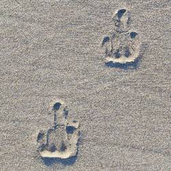 ¿Quién habrá sido el gracioso? 😝