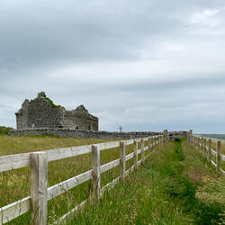 The overgrown walking path to the Carran Church ruins — the Burren, Ireland.