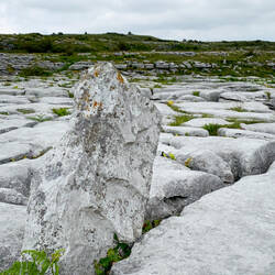 Another perspective of the grikes and clints of the karst landscape @ the dolmen — the Burren.