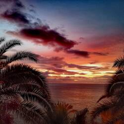 Good morning day 26 🌞🌞🌞!
