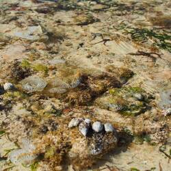 Many things to discover