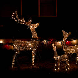Christmas cheer in Colorado Springs, Colorado.