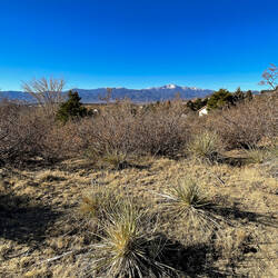 A warm-day hike @ the High Chaparral Open Space — Colorado Springs, CO.