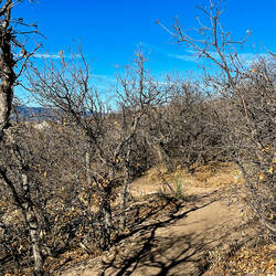 A warm-day hike @ the High Chaparral Open Space — Colorado Springs, CO.