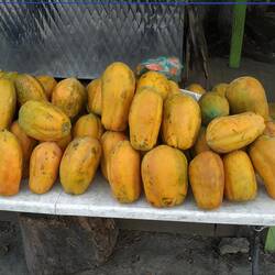 Eine Zuckersüsse Papaya für einen Franken