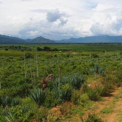 View on Pare from the eastern valley