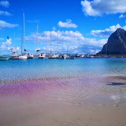 Red Algae Bloom in the sea!