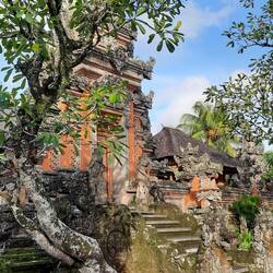 Temple Lotus d'Ubud.