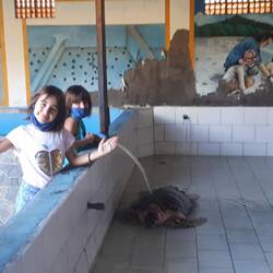 On change l'eau de la grande tortue