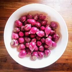 Prickly Pears from a Cactus