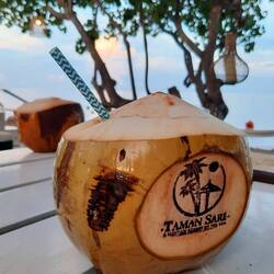 Les noix de coco fraîches... trop bon sur la plage...