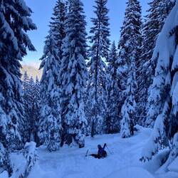 Einmal hinsetzen im weichen Schnee bitte