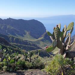 In der Ferne liegt Gomera ...