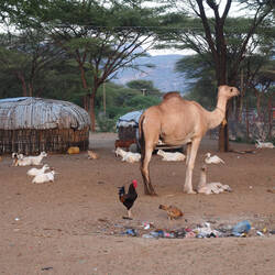 All you need in one place