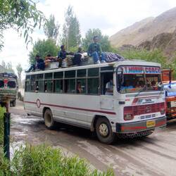 Bustransport