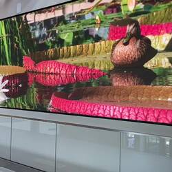 The Immersion Wall @ the Denver Botanic Gardens — Denver, CO.