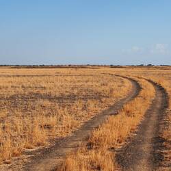 Flat riverines begin, an exhaustive drive