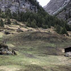 Blick zurück - hier waren die Schafe schon