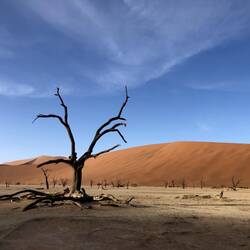 Deadvlei