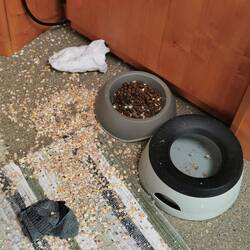 Grund um sauber zu machen...