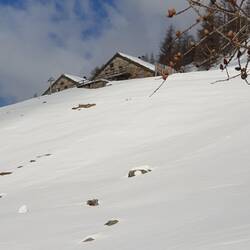 Furggalp vom Furggbach her gesehen