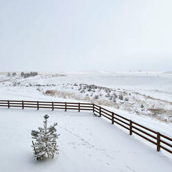 Early morning look of the winter wonderland from our deck — Colorado Springs, CO.