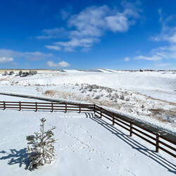 A true winter wonderland view from our deck — Colorado Springs, CO.