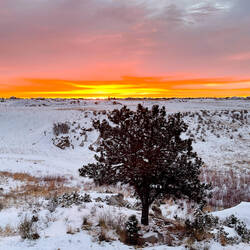 Colorful sunrise with a snow-covered landscape — Colorado Springs, CO.