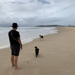 Safety Beach