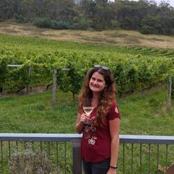 Freycinet Vineyard - super leckere Weine