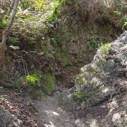 Zurück ging es durch etwas unwegsames Gelände.