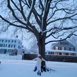 My first snow storm ❄ 2021