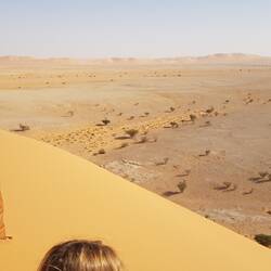 ...and then we drove down