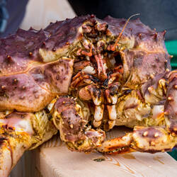 Close up of a male king crab — Skarsvåg, Norway.